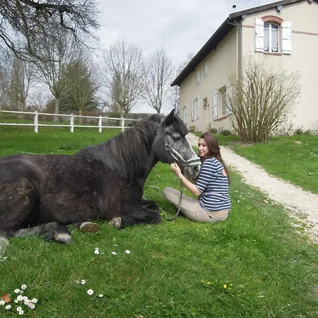 Pavillon De Chasse - Aile Ouest