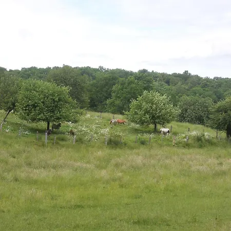 Pavillon De Chasse - Aile Ouest *