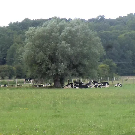Pavillon De Chasse - Aile Ouest *